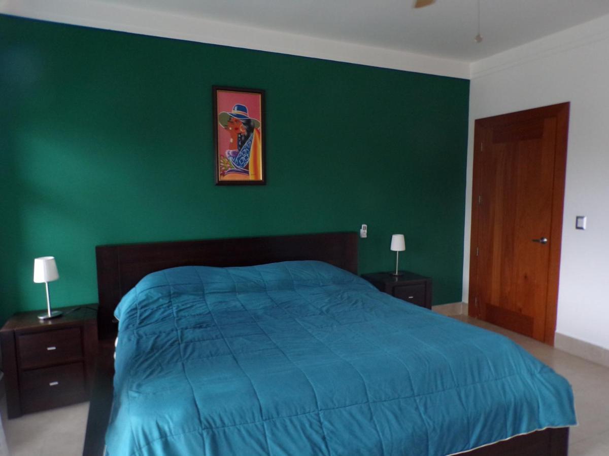 Luxury In The Caribbean Apartment โซซูอา ภายนอก รูปภาพ