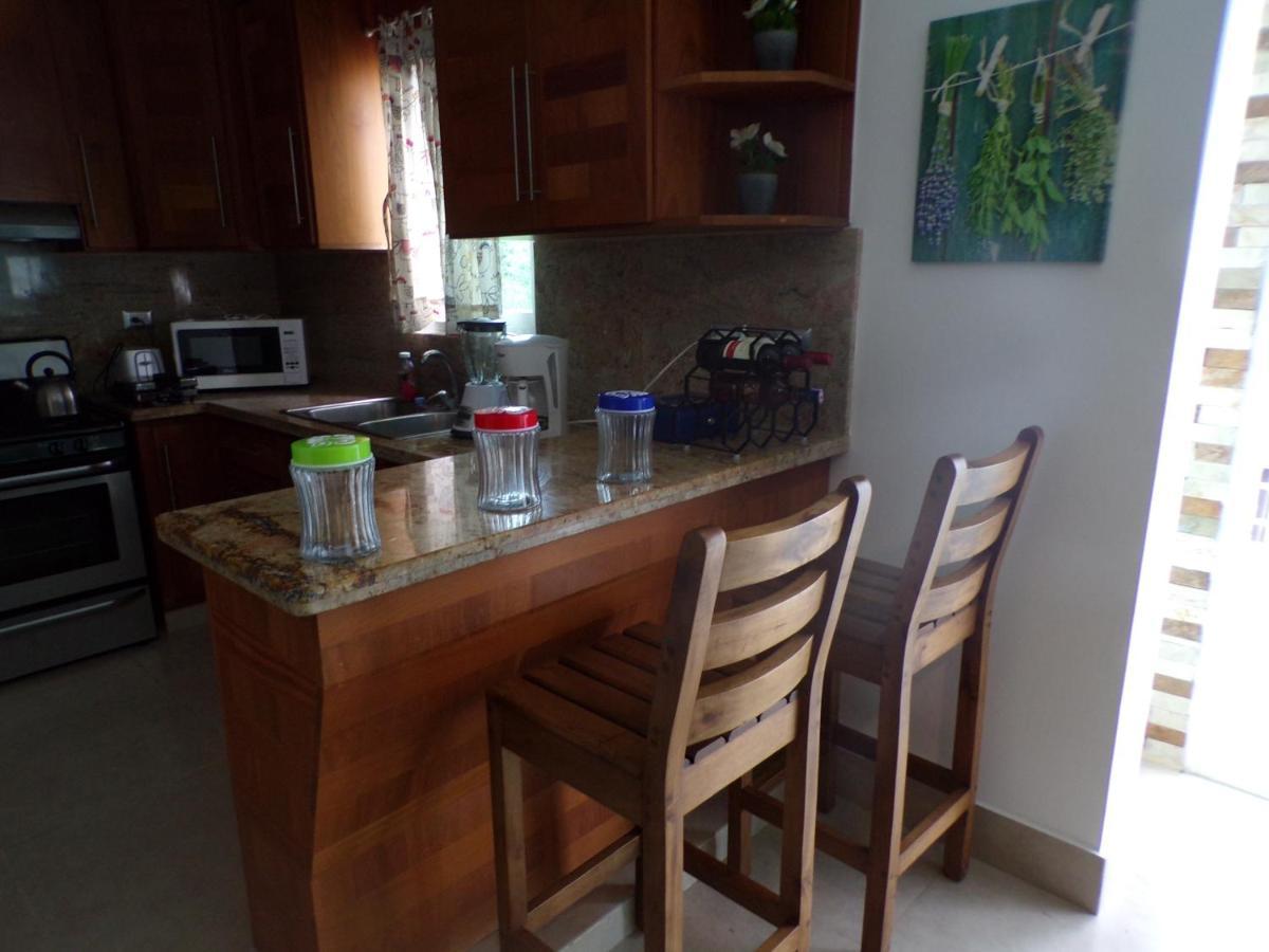 Luxury In The Caribbean Apartment โซซูอา ภายนอก รูปภาพ